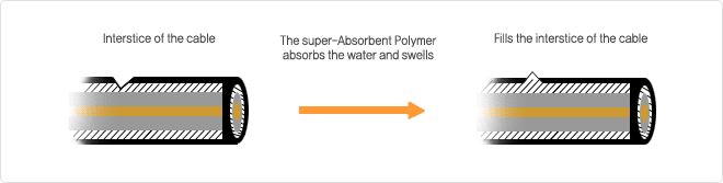 SwImg02.gif